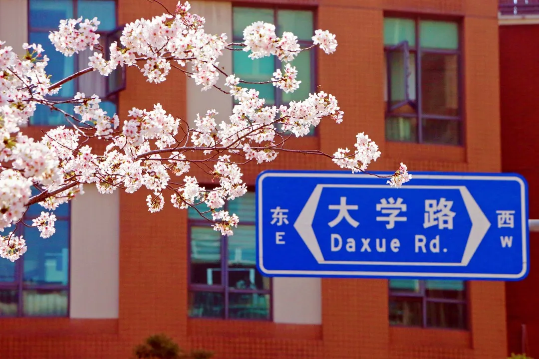 图片 10.png