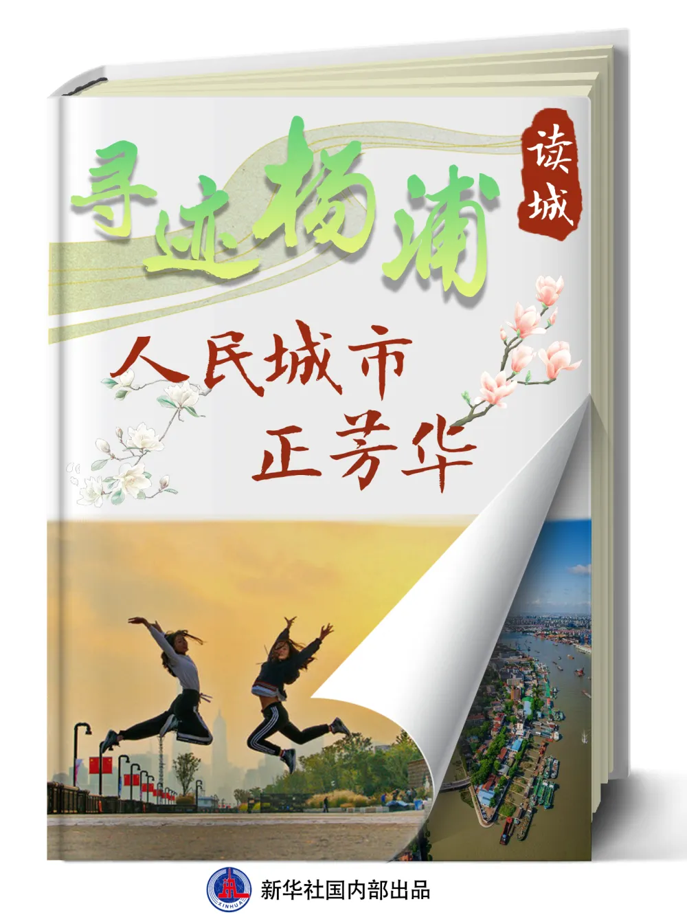 图片 1.png